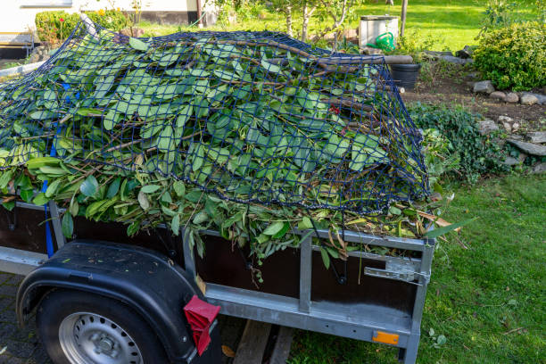 Recycling Services for Junk in Santa Rosa Valley, CA